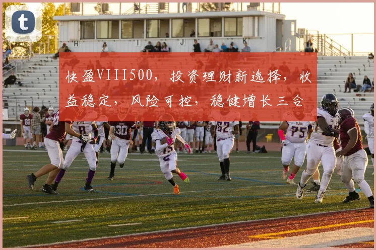 快盈VIII500，投资理财新选择，收益稳定，风险可控，稳健增长三合一