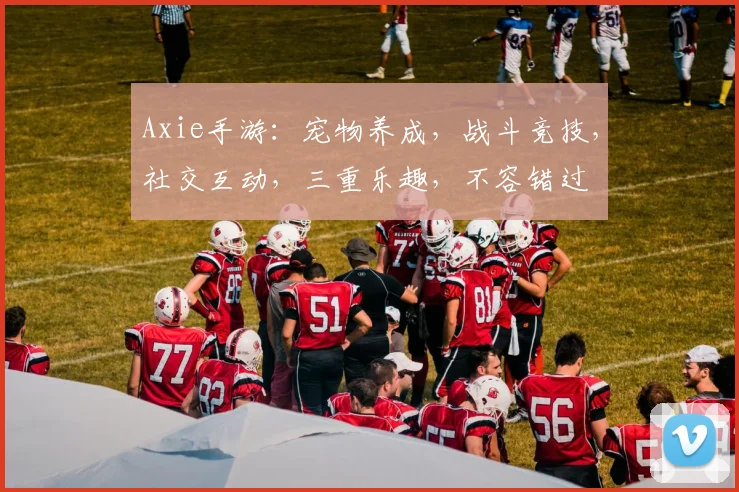 Axie手游：宠物养成，战斗竞技，社交互动，三重乐趣，不容错过